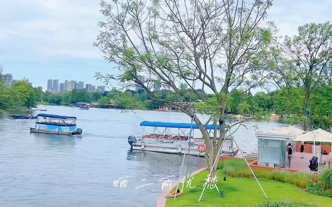 周末打卡成都网红景点