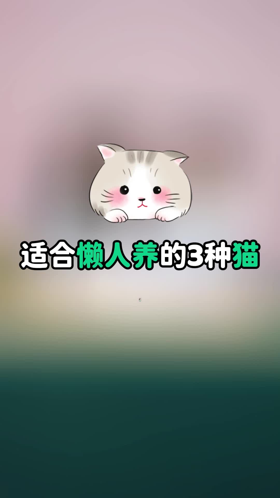 适合懒人养的3种猫哔哩哔哩bilibili