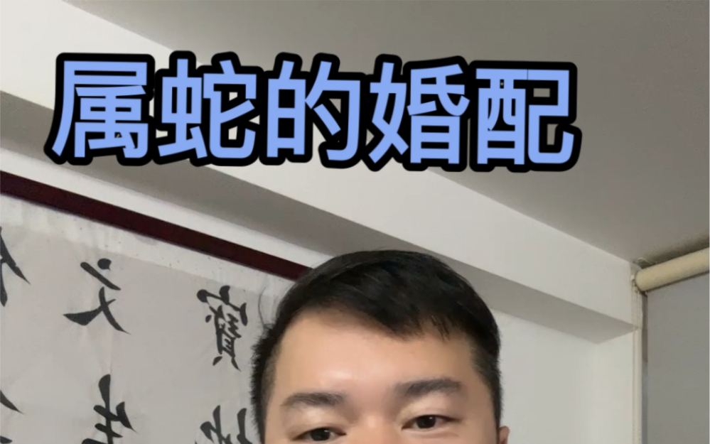 属蛇的婚配哔哩哔哩bilibili