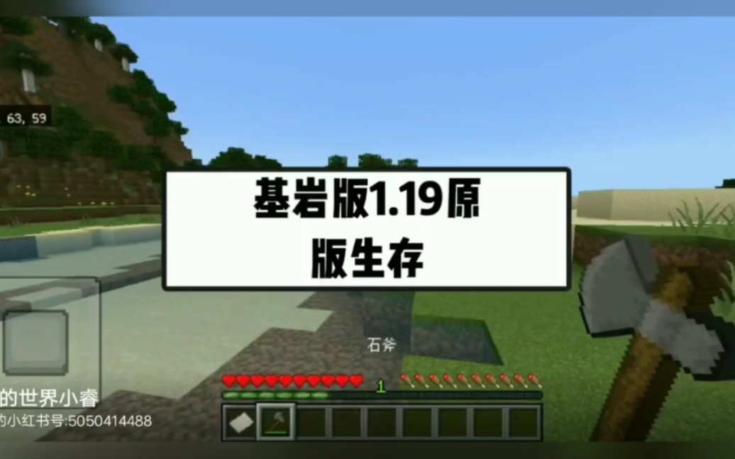 我的世界基岩版,1.19原版生存