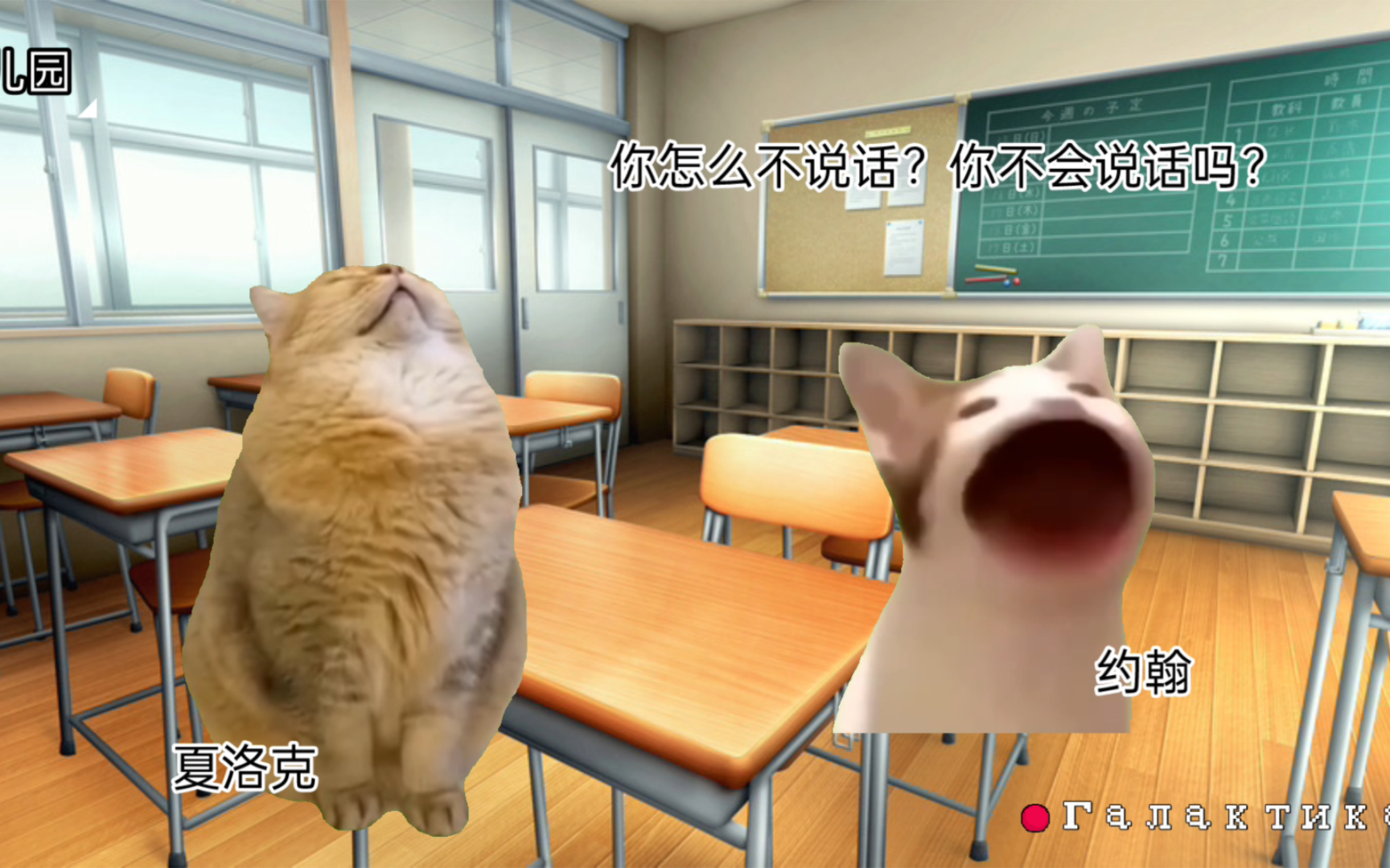 《上学记》猫meme但神夏版哔哩哔哩bilibili