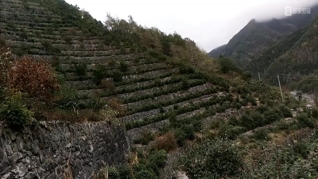 哦十分钟下雨风景音乐 伴奏音乐哔哩哔哩bilibili