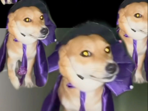 模糊的画质 清晰的实力