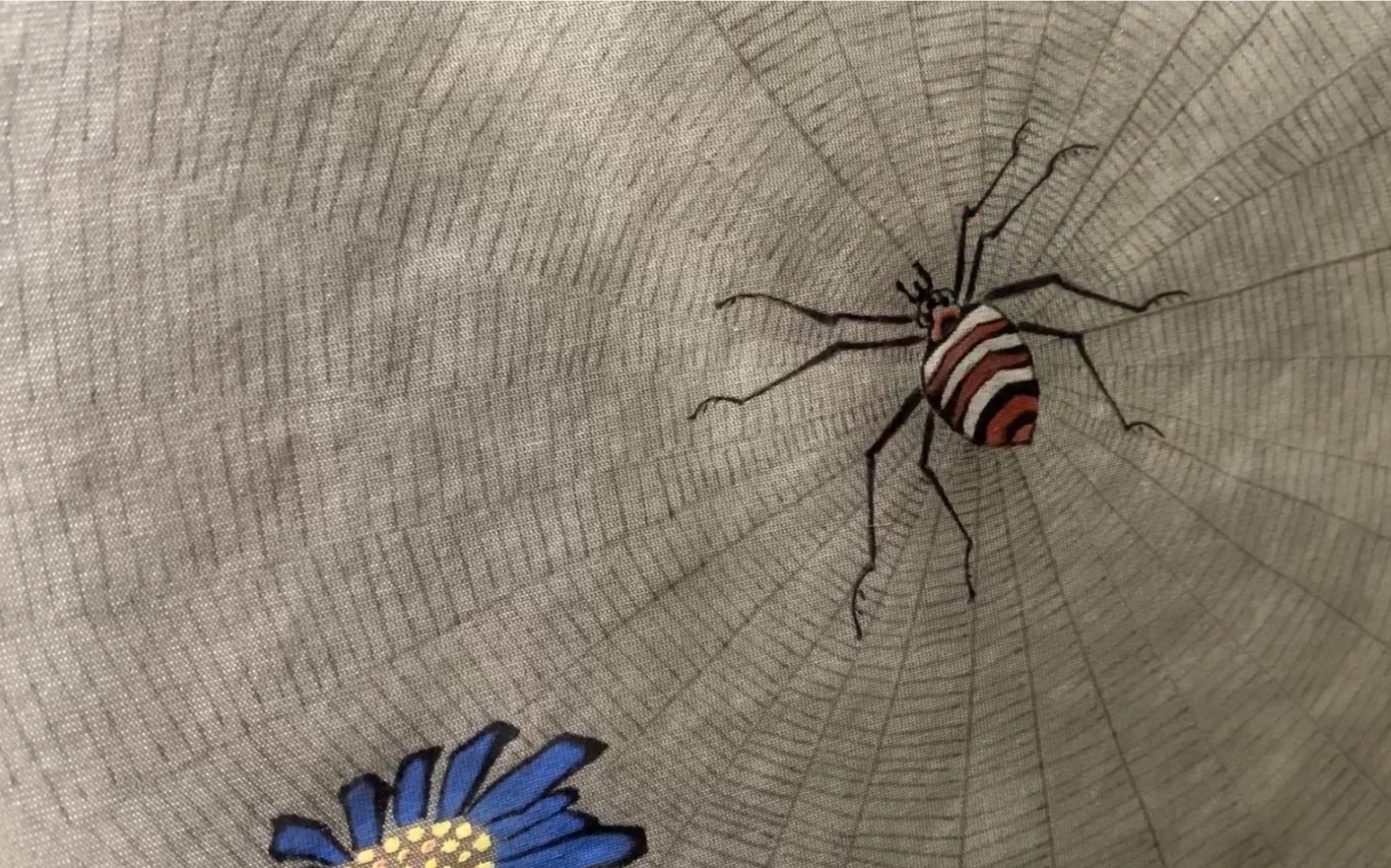 【工笔】四眼蜘蛛示范