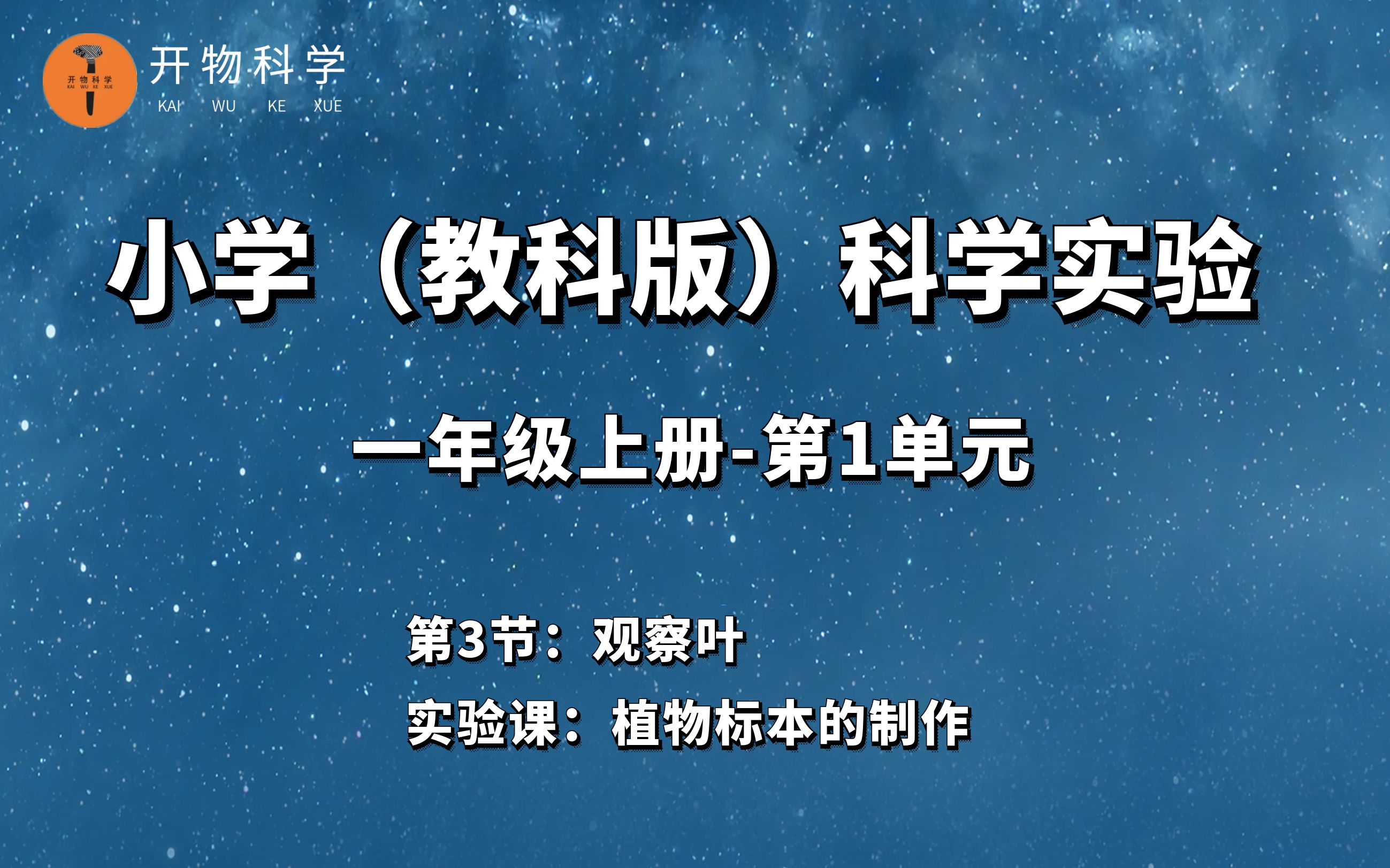 一年级上册科学实验《观察叶》哔哩哔哩bilibili