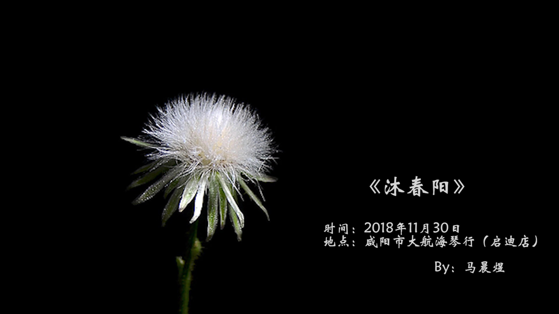 【基友指弹】《 沐春阳 》 木吉他独奏 cover 曹思义 (gpcf)_哔哩哔哩