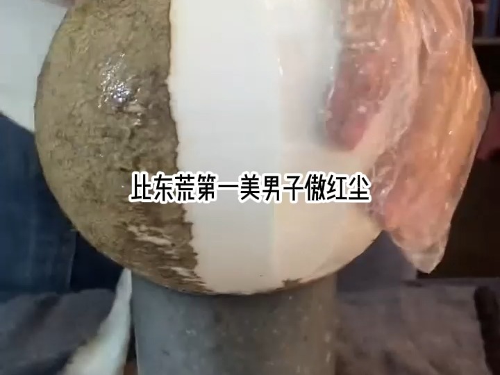 傲红尘简谱图片