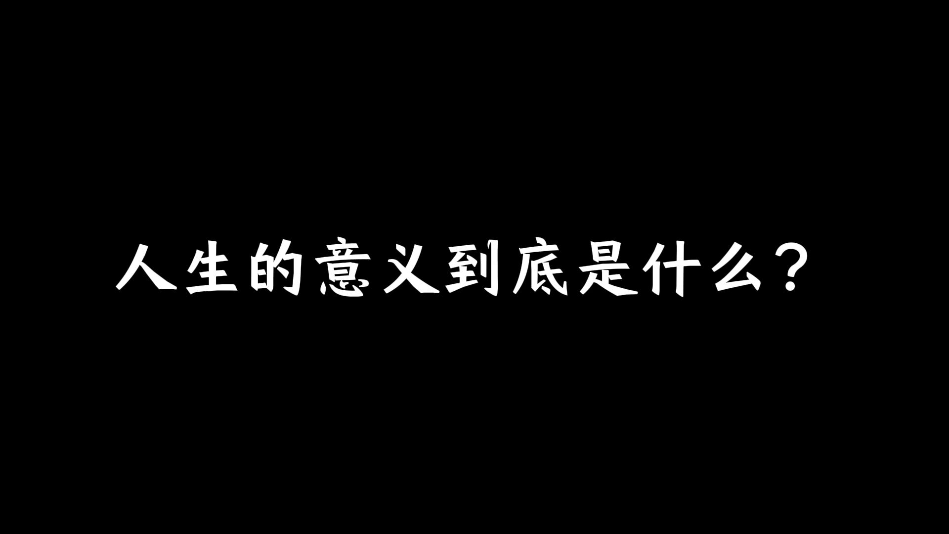 人生的意义到底是什么?哔哩哔哩bilibili