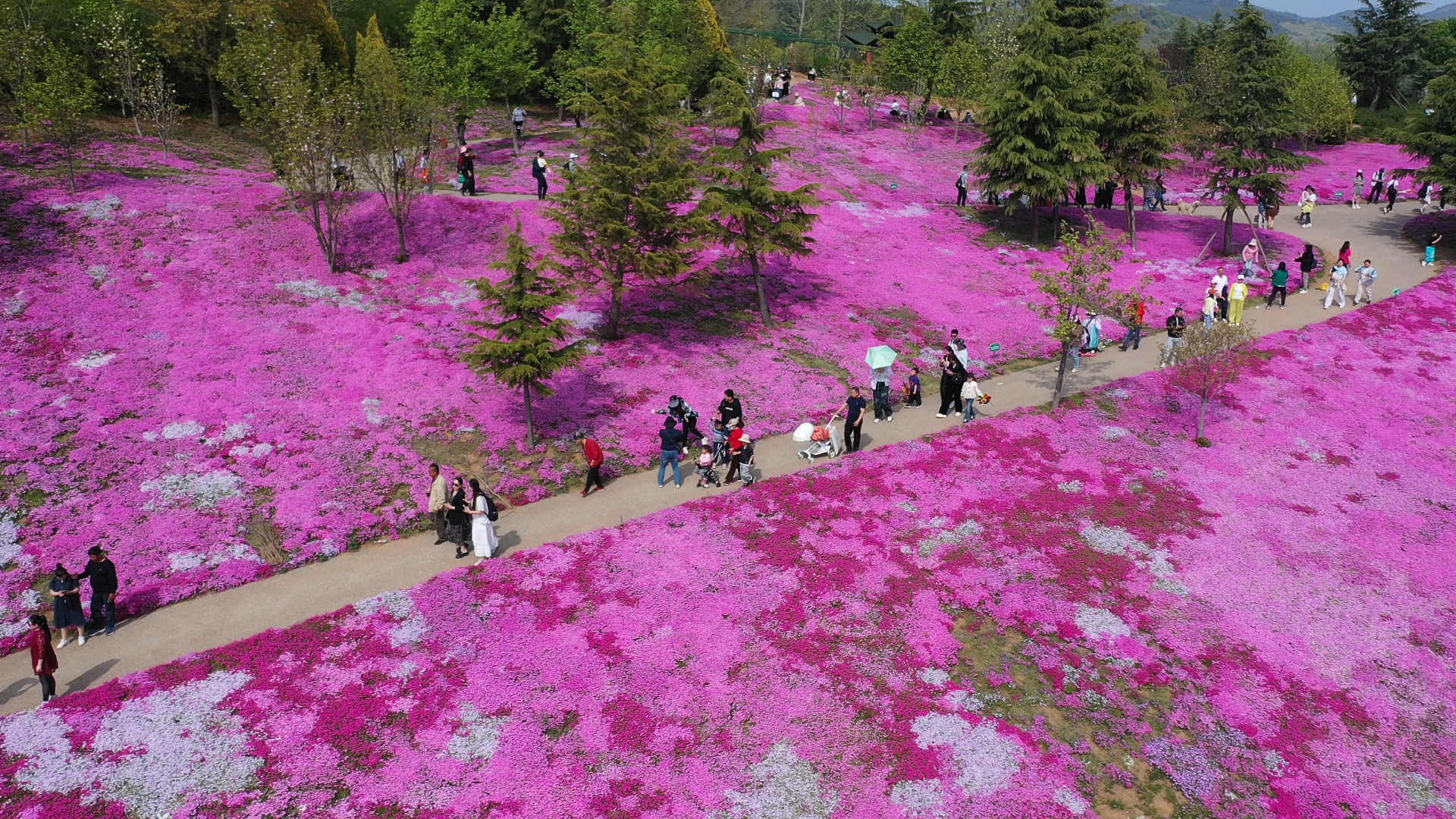 大连英歌石植物园拆迁图片