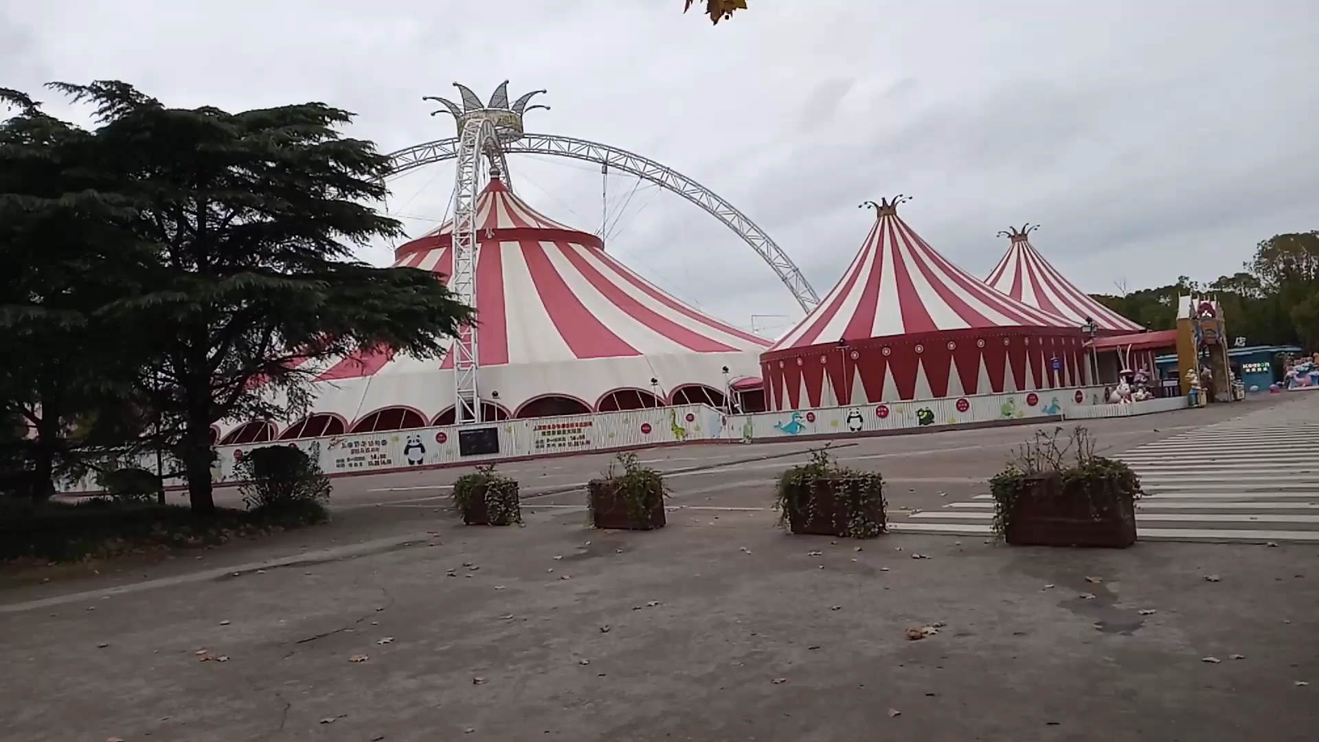 上海野生动物园景点——马戏团 水域_哔哩哔哩_bilibili