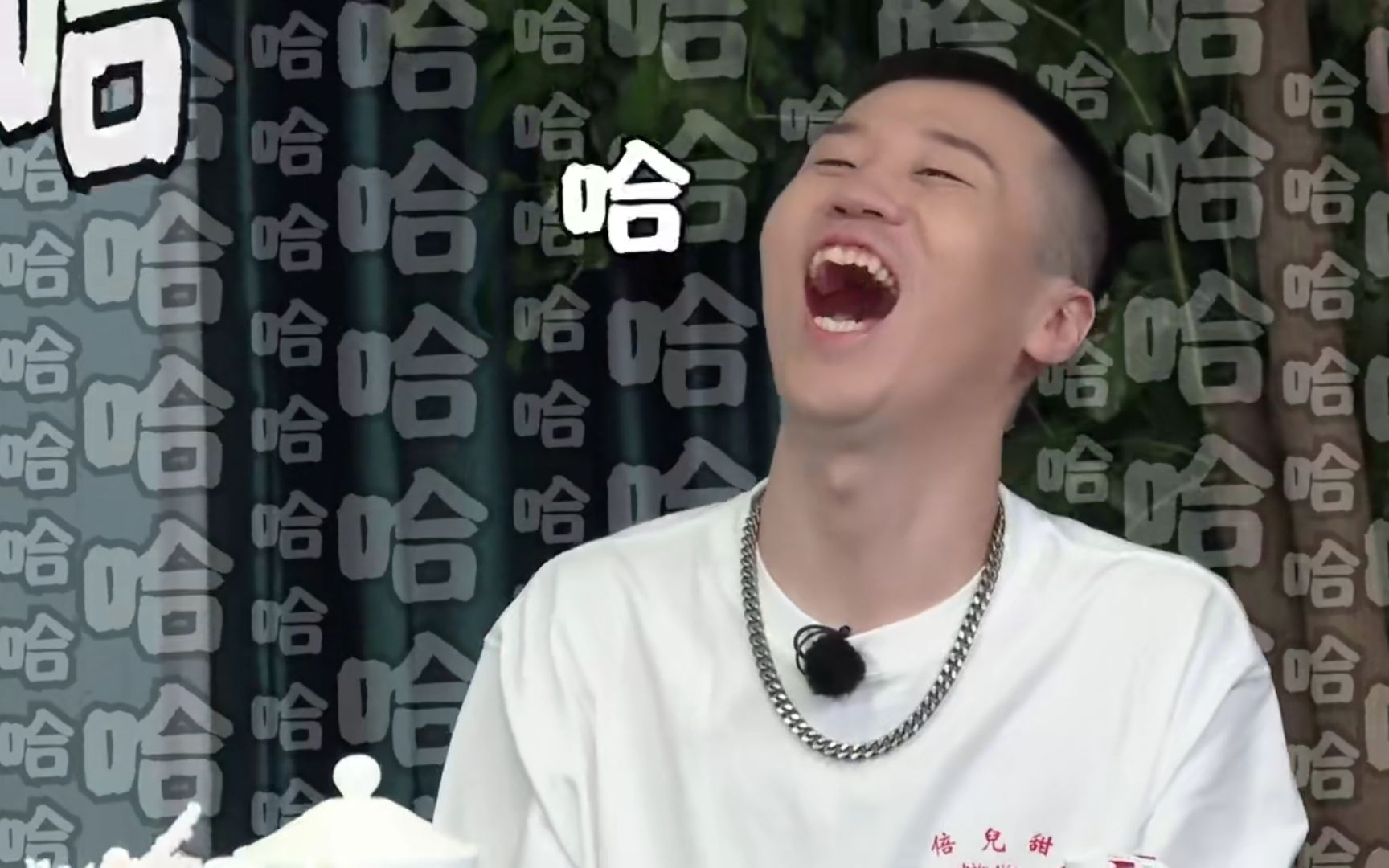 【德云斗笑社】大笑江湖 林子大有好多的鸟?