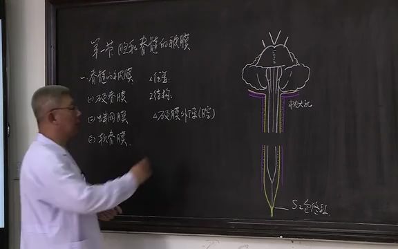 [图]51-霍琨老师-人体解剖学-系统解剖学全集