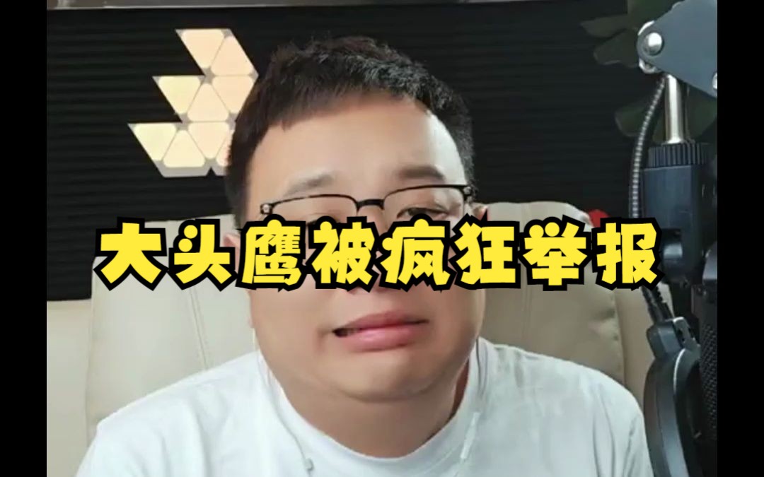 大头鹰被疯狂举报哔哩哔哩bilibili