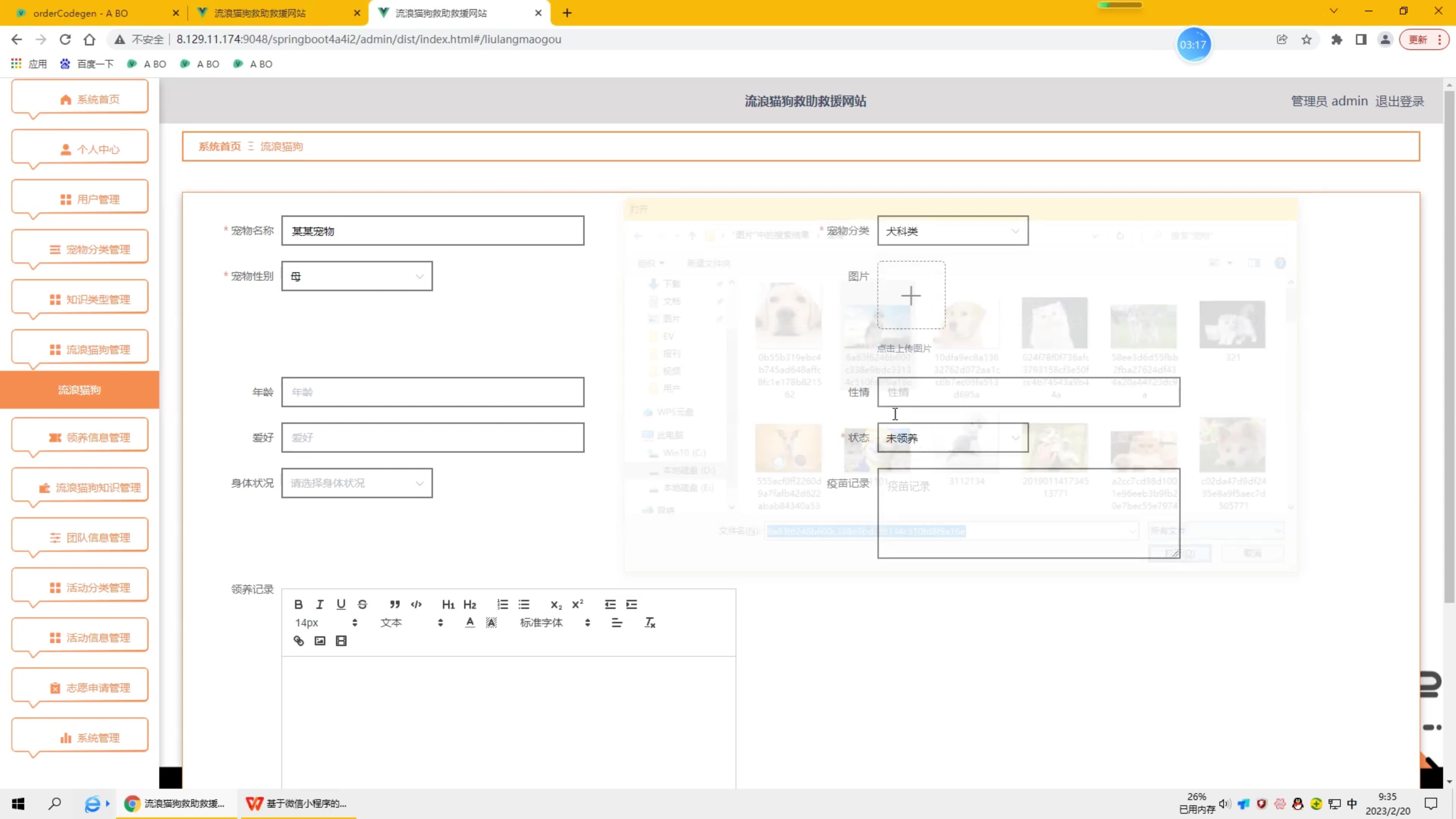 基于SpringBoot+Vue的流浪猫狗救助救援网站(带1w+文档)哔哩哔哩bilibili