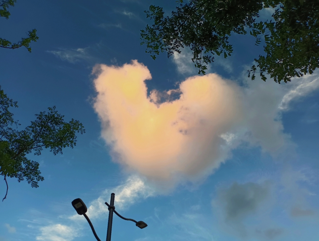 《天空云朵》2022希望这个爱心云可以给我们带来好运吧!见者好运!