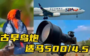 Descargar video: （适马500/4.5）螺丝刀对焦巨炮 A6600+LAEA5驱动爽拍