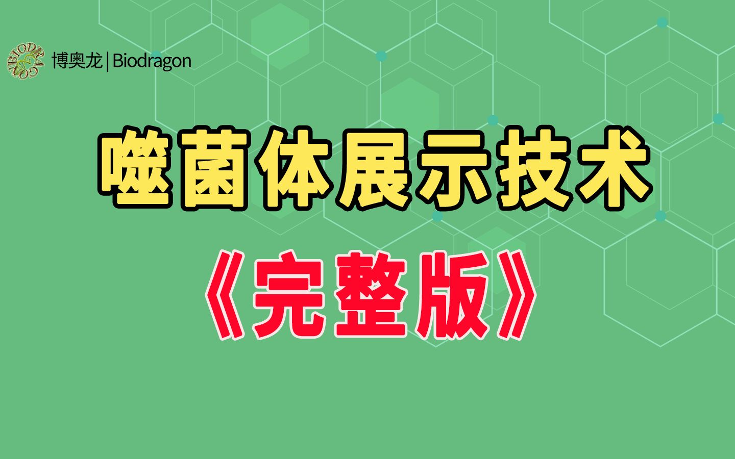 《噬菌体展示技术》完整版哔哩哔哩bilibili