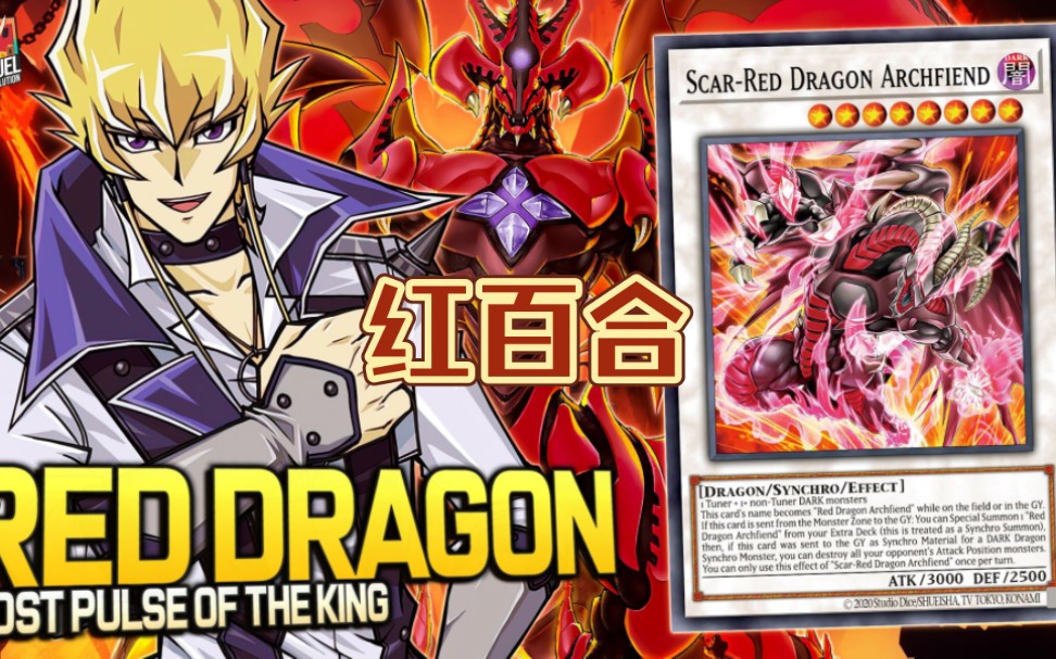 游戏王红莲魔卡组红百合构筑与实战