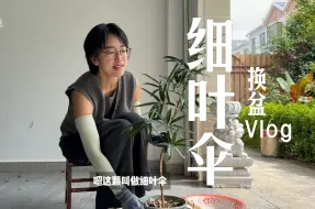 Tải video: 「山乌龟」一些不懂事的植物｜换之