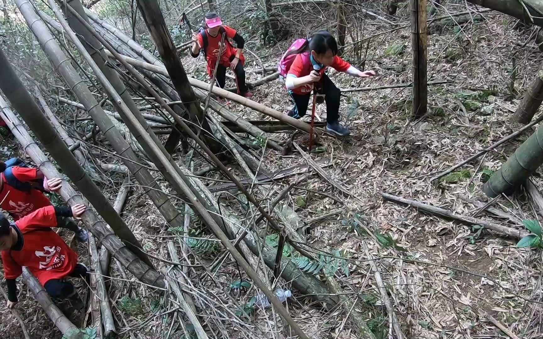 上海周边登山 旅游健身锻炼登山俱乐部 覆卮山古道15上海快乐徒步爬山户外哔哩哔哩bilibili