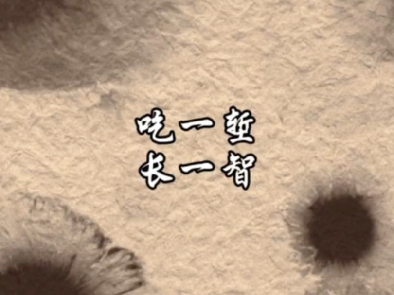 吃一堑长一智
