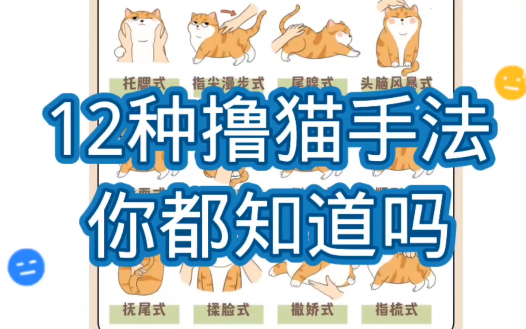 [图]养猫小技巧13:十二种撸猫手法，你都知道吗？