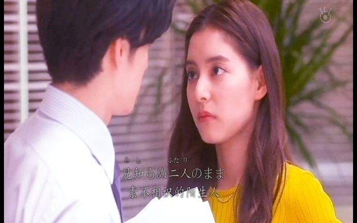 金装律师日剧中岛裕翔新木优子明天也有好吃的饭