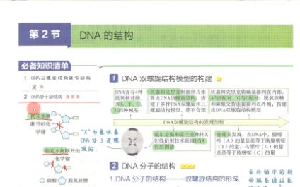 【2023生物必刷题】P97(概念课1)DNA的结构(DNA碱基数量计算的核心公式)哔哩哔哩bilibili