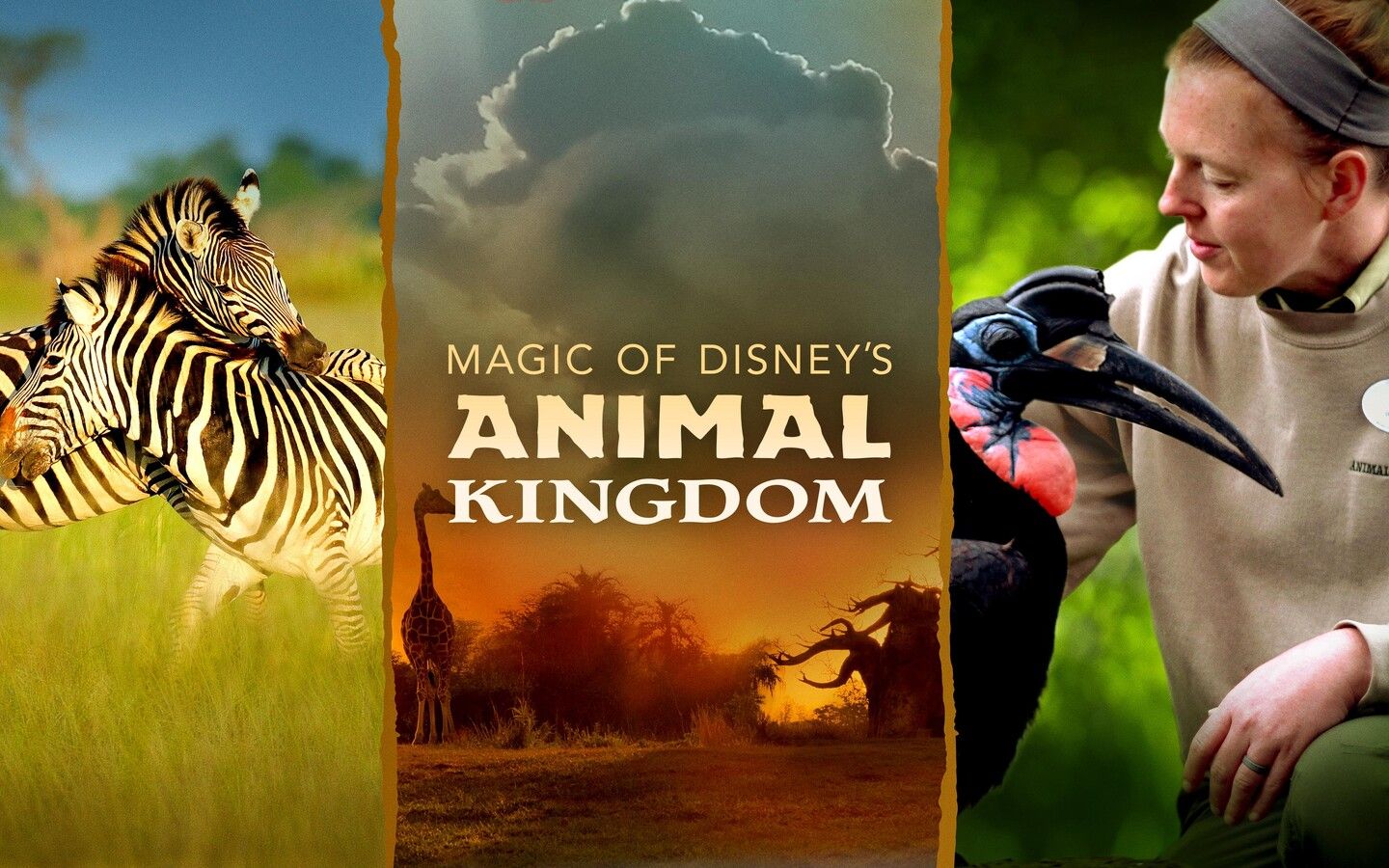 纪录片.国家地理.迪士尼动物王国的魔力.s01.2020[imdb 8.