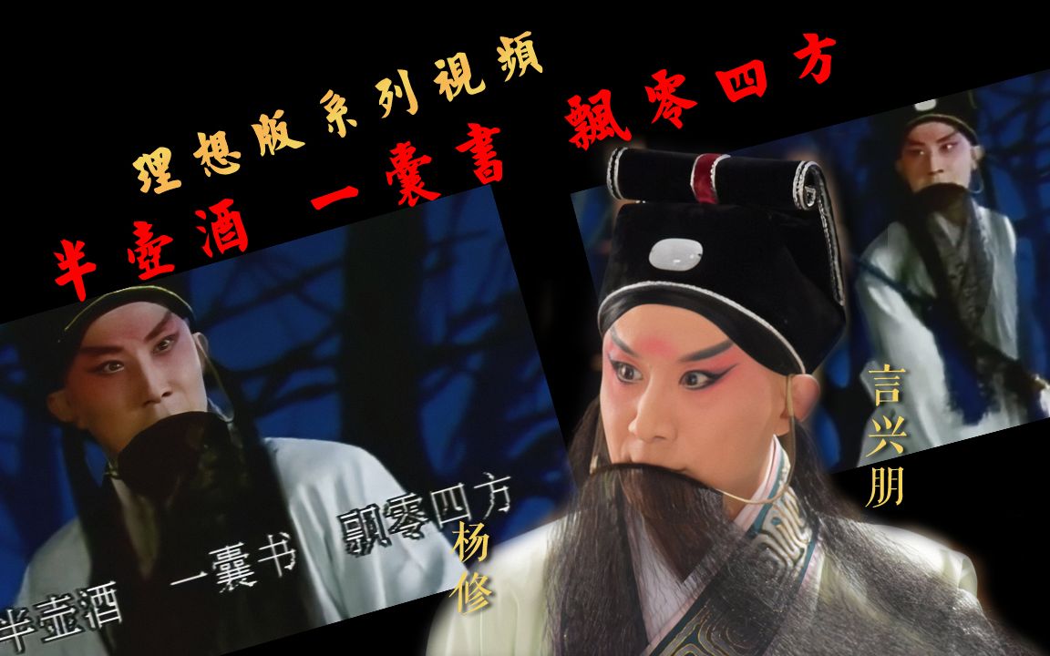 【原创】言兴朋·杨修——理想化版《曹操与杨修》系列视频04之半壶酒