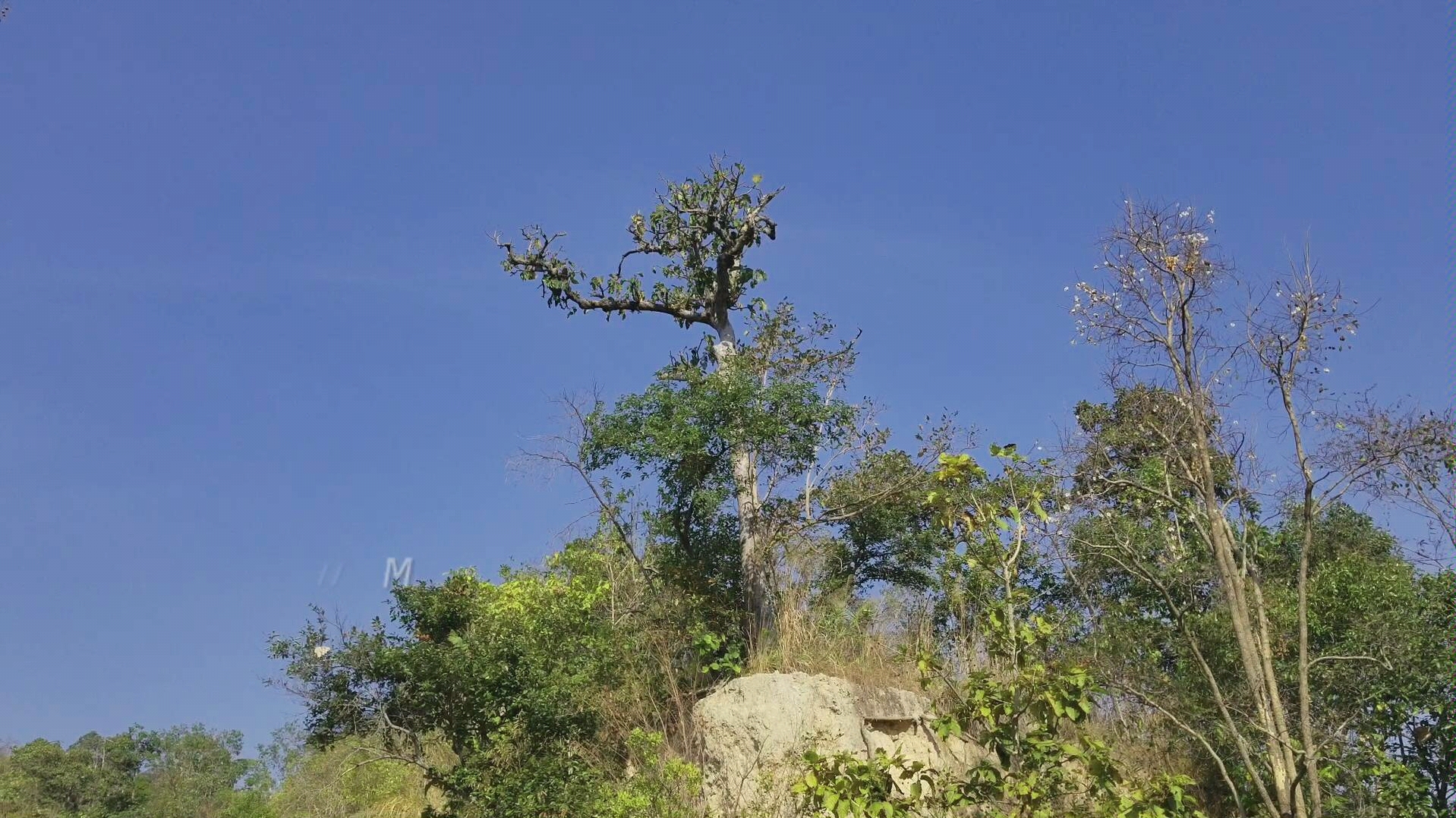 [图]大年初一骑行清迈素帖山