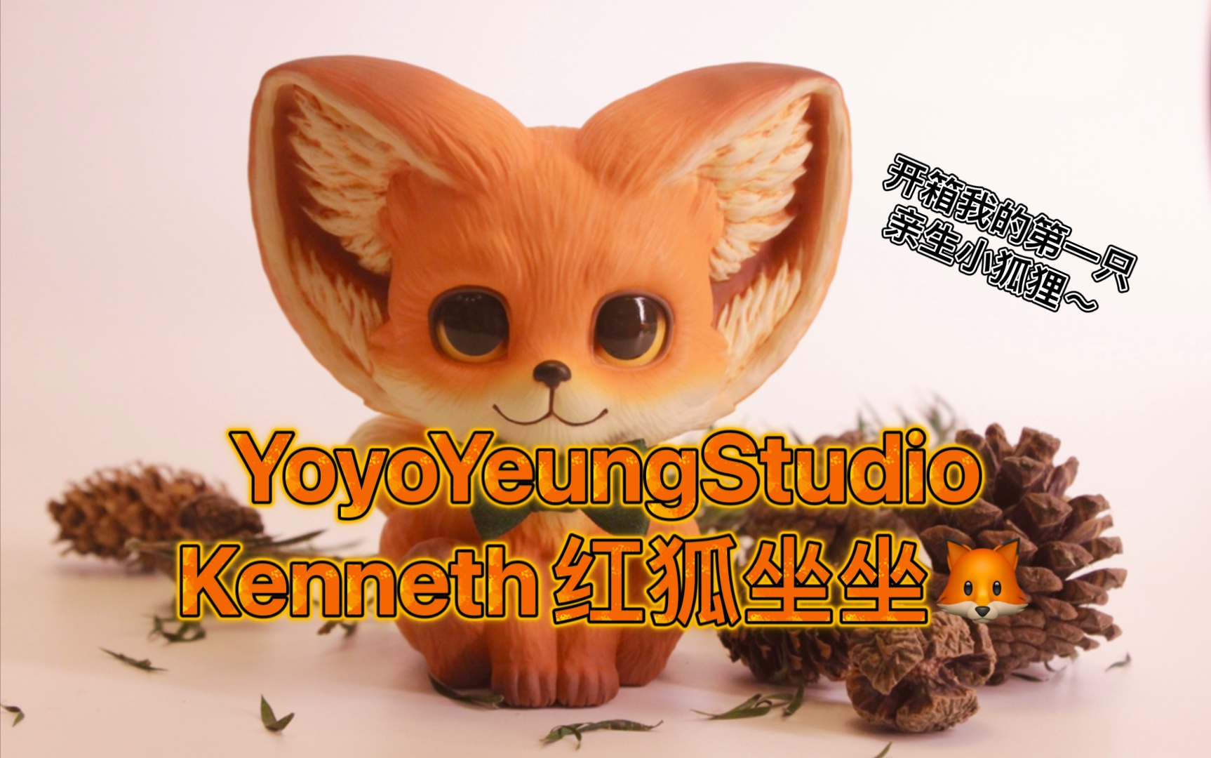 【大娃开箱】第一只亲生的yoyo家小狐狸,红狐坐坐简直太可爱啦!