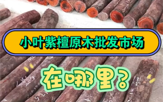 小叶紫檀的批发中心在哪里呢?答案,我的老家福建仙游榜头镇.哔哩哔哩bilibili