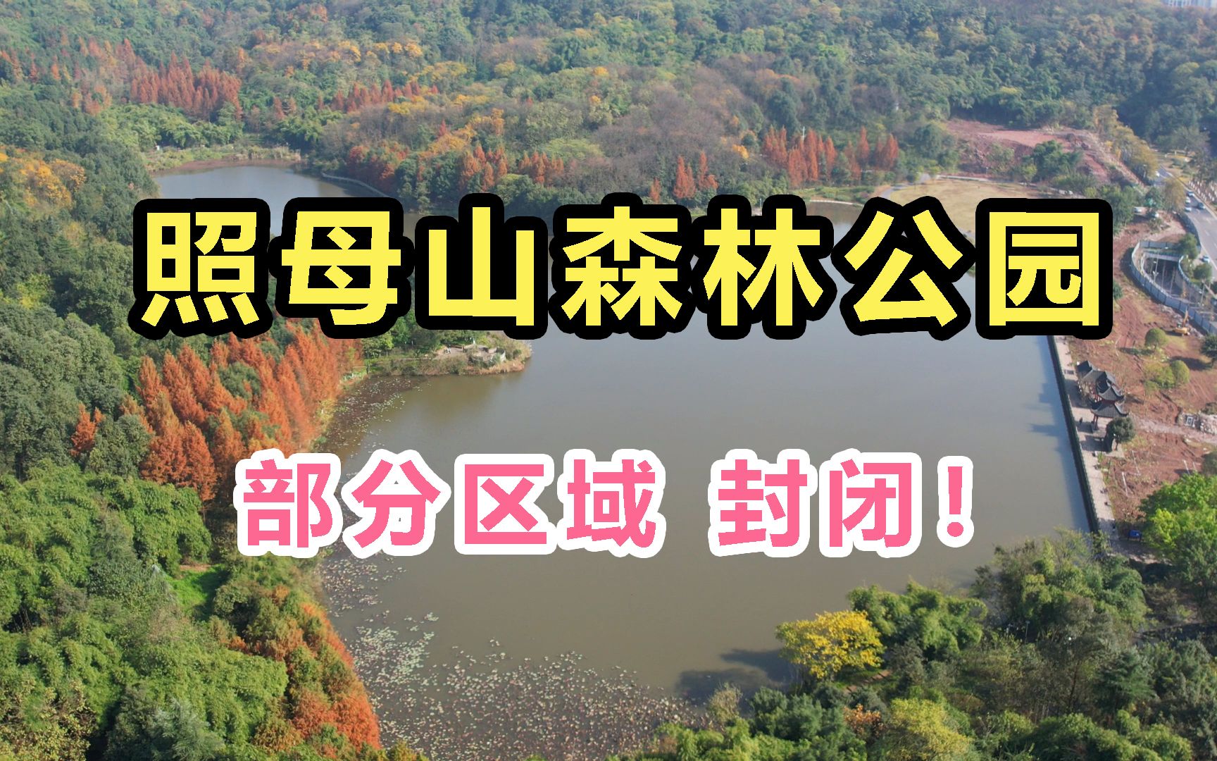 重庆照母山森林公园,部分区域封闭!2022年1月30日开放!哔哩哔哩bilibili