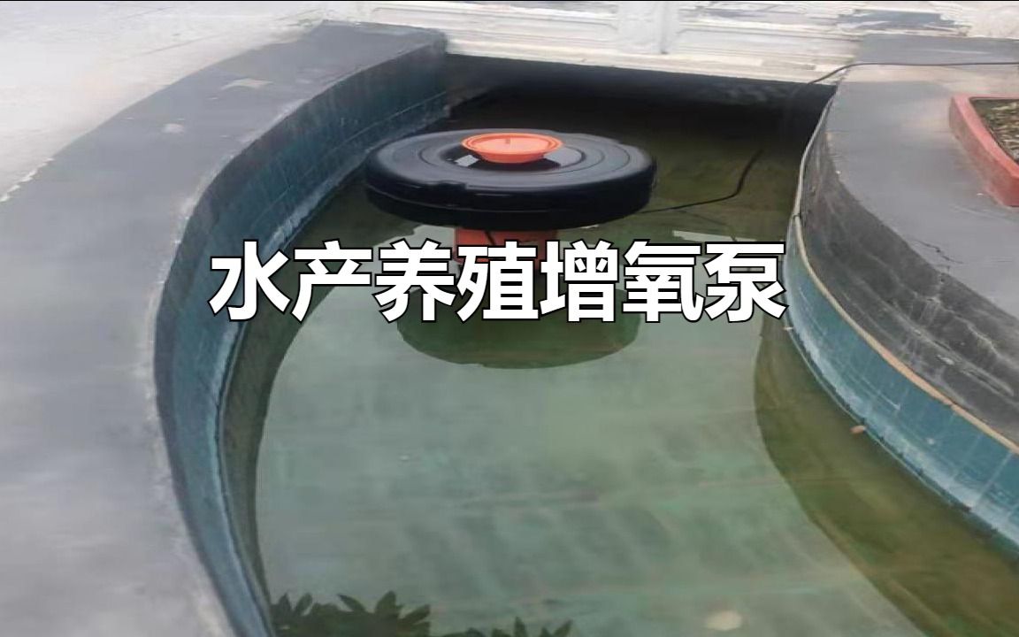 涌浪式水产养殖增氧泵:实现水产养殖更高效的增氧
