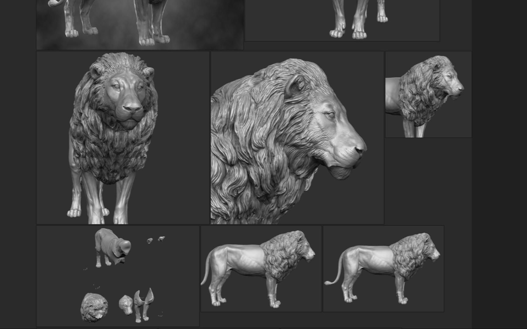 zbrush狮子全身雕刻参考资料,zbrush雕刻资料哔哩哔哩bilibili