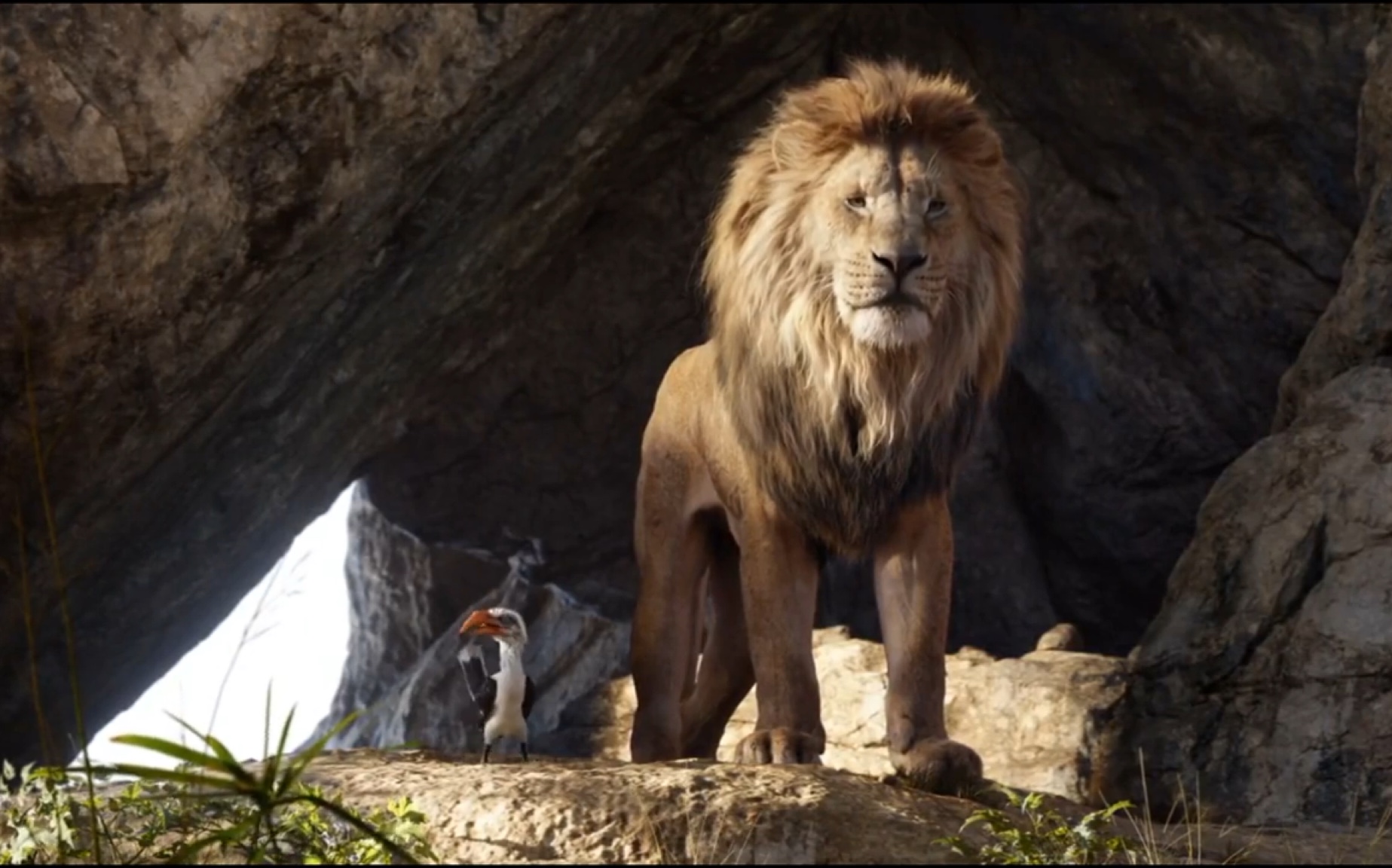 【lion king/狮子王】木法沙与刀疤谈话 (2019hdclip)