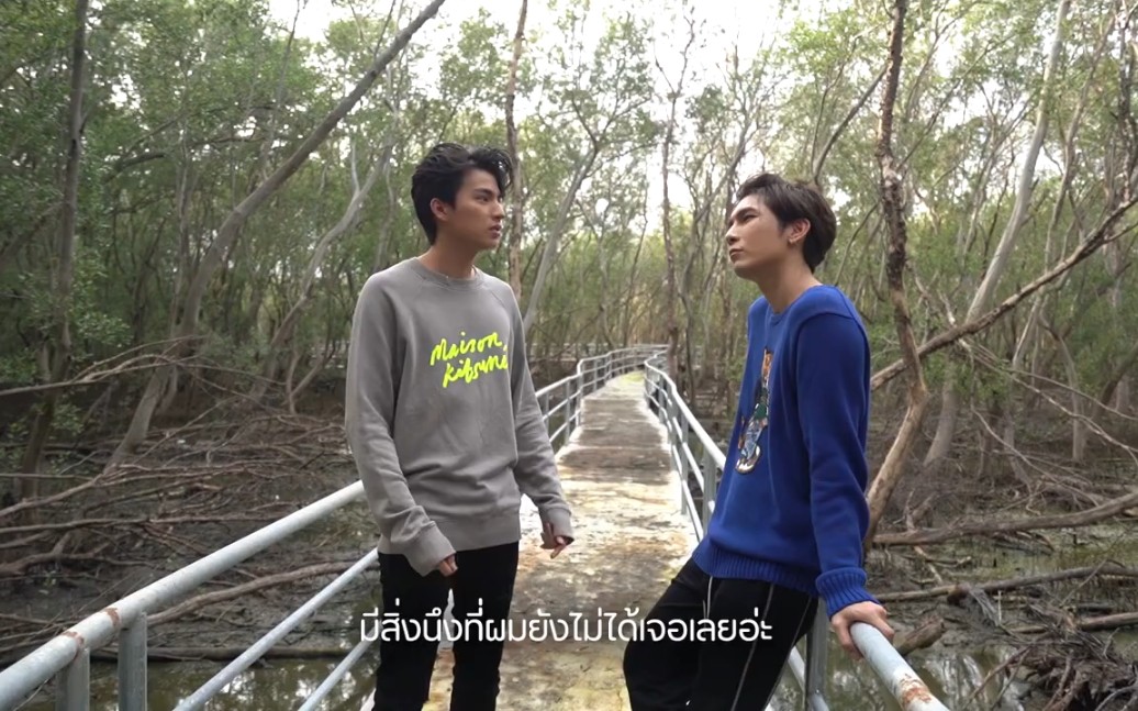 mewgulf  秀恩爱的湿地演讲稿  墙都不服就服缪博士