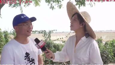 金村修-哔哩哔哩_Bilibili