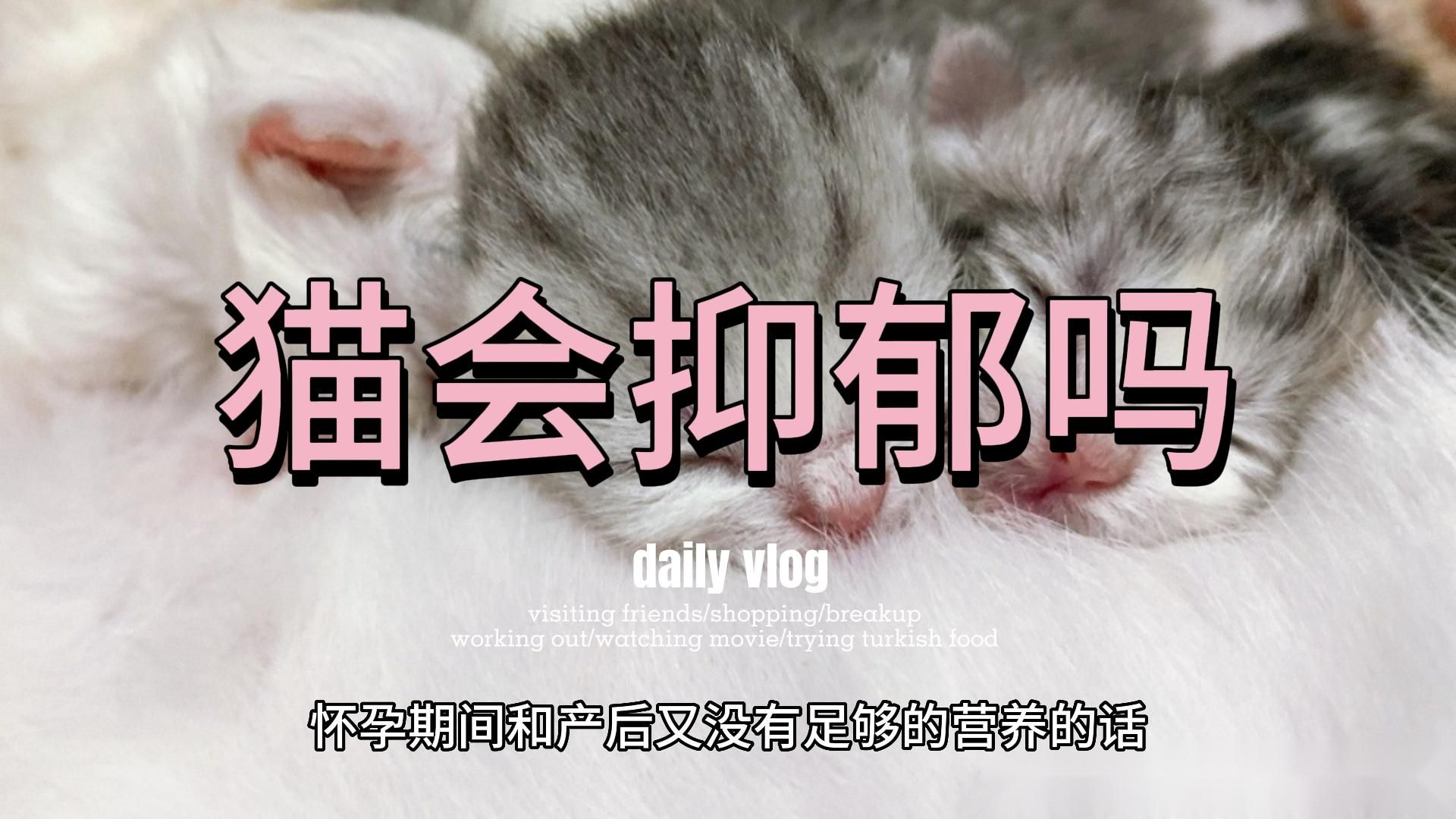 母猫为什么会“咬死”刚出生的幼崽？背后原因你知道哪些？