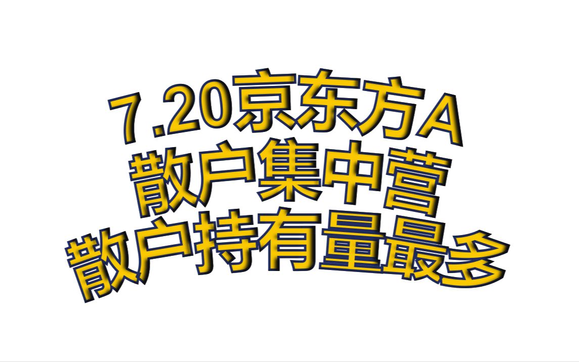 京东方A,散户集中营,散户持股最多个股之一!!!哔哩哔哩bilibili