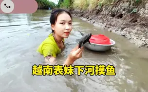 Tải video: 越南表妹又来下河摸鱼，谁都不服就服表妹，表妹就是清道夫的终结者