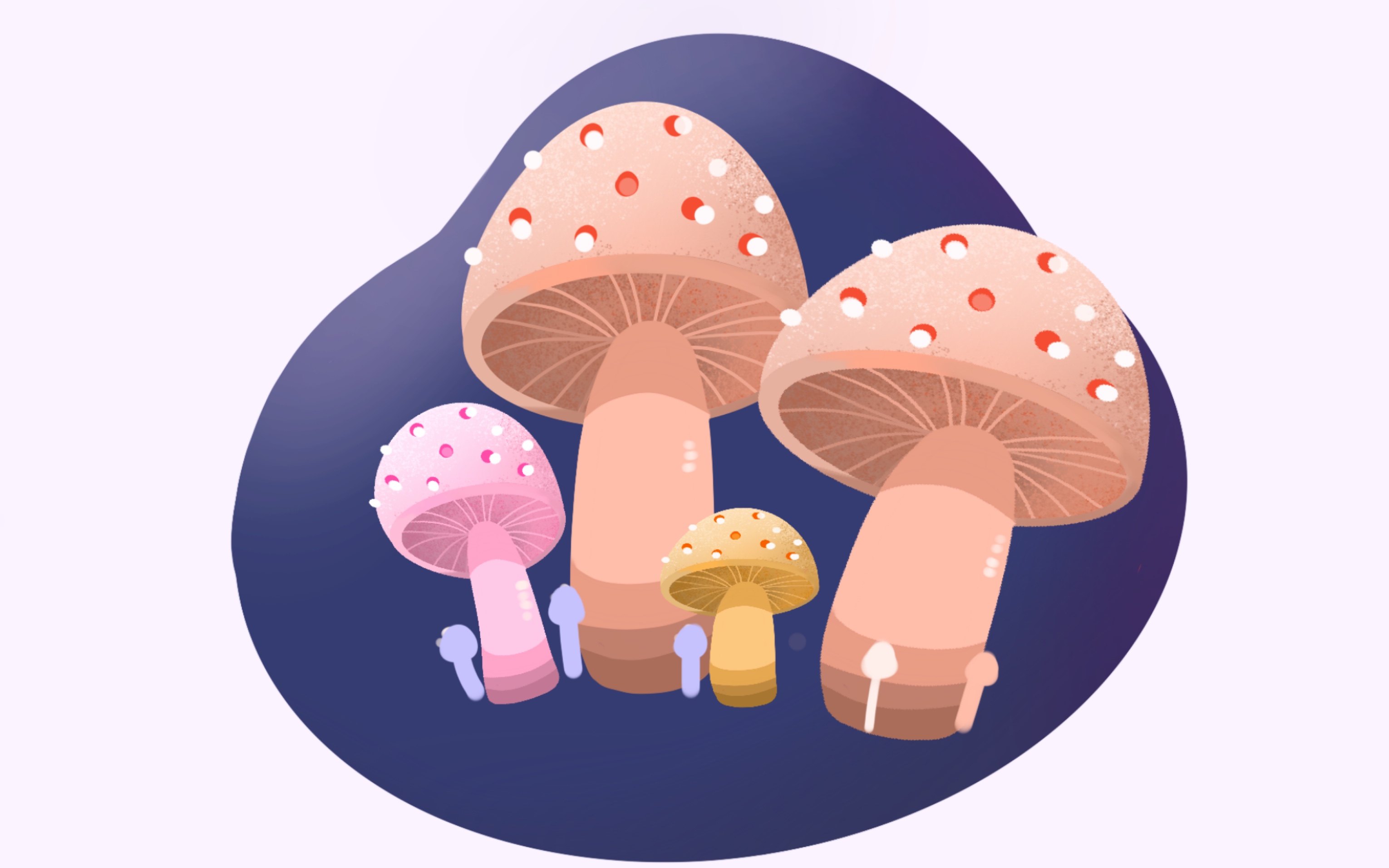 淼淼板绘一学就会的梦幻蘑菇一起来学习吧