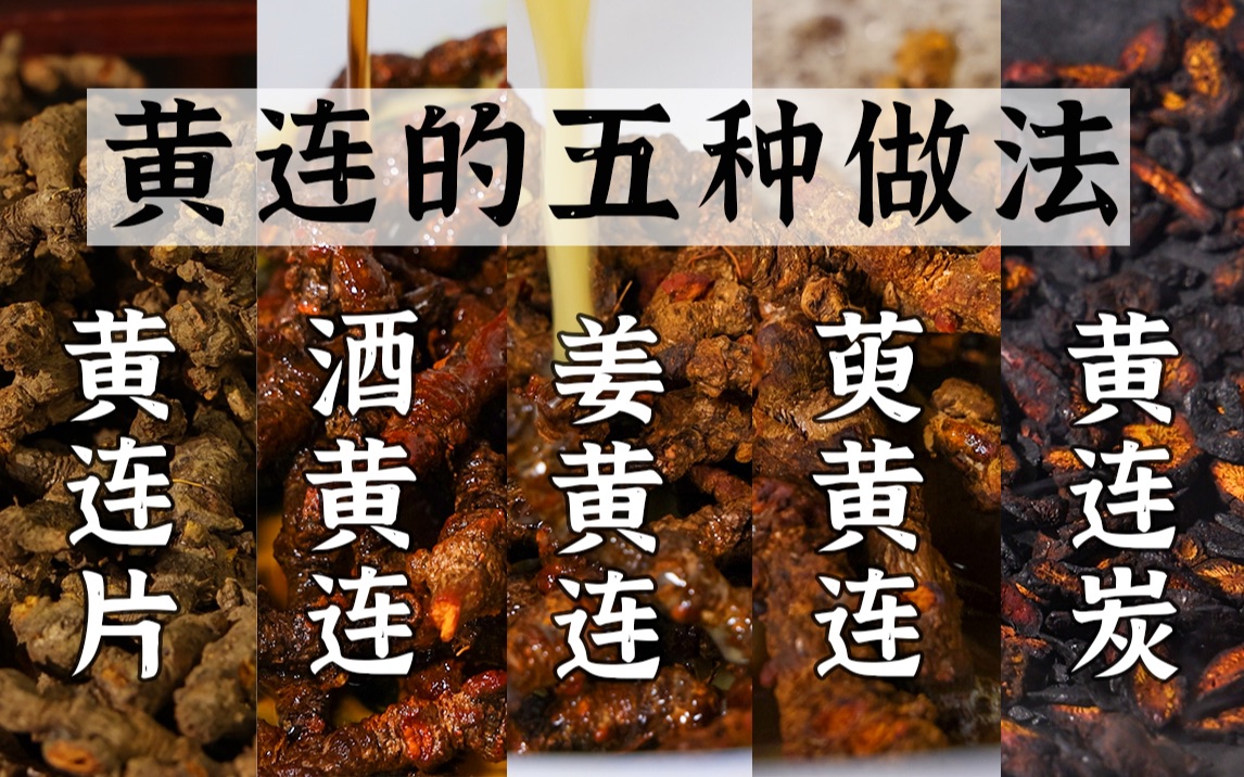 哑巴吃黄连,有苦说不出,黄连的五种做法