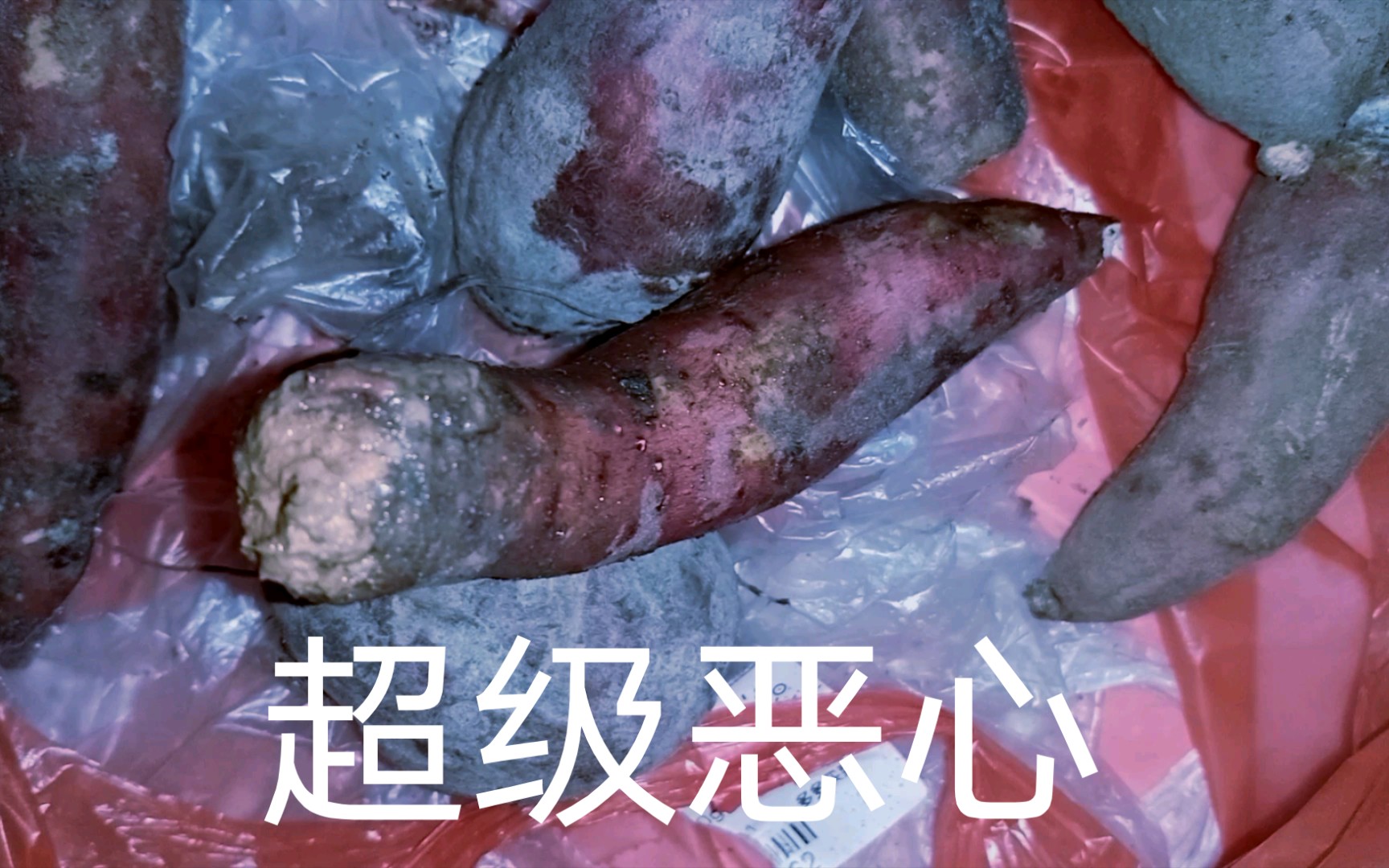 在拼多多贪便宜买的东西,全部发霉,腐烂,太恶心了