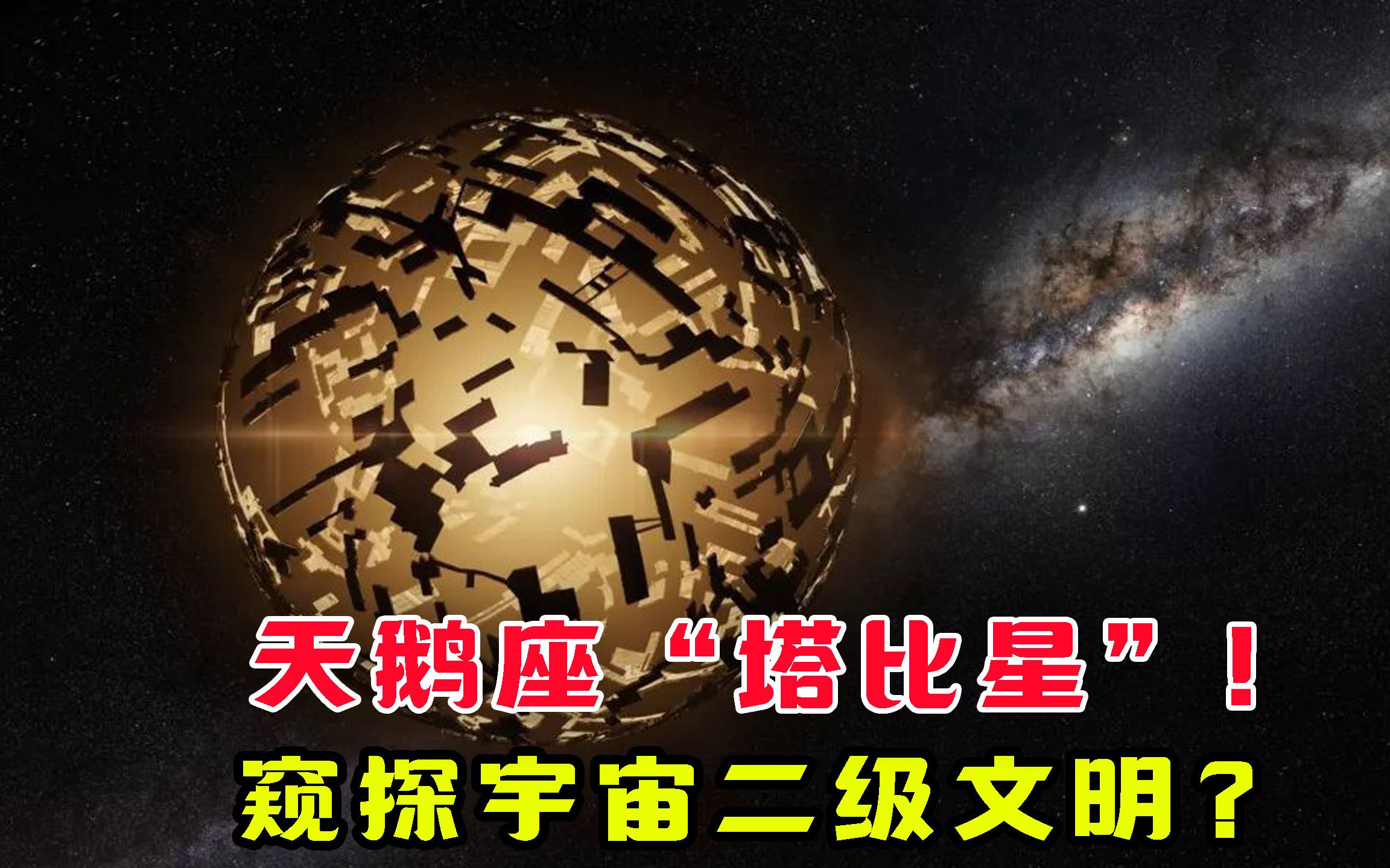 塔比星百科图片