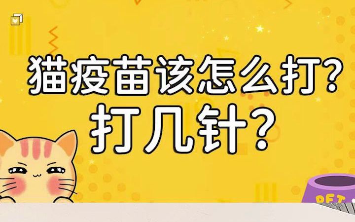 猫疫苗该怎么打?打几针?哔哩哔哩bilibili