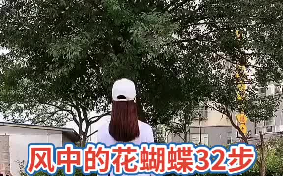 [图]风中的花蝴蝶32步最火