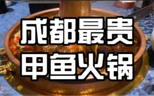 Download Video: 成都最贵的甲鱼火锅，一顿吃了3300元，视频每秒84.6元哈哈