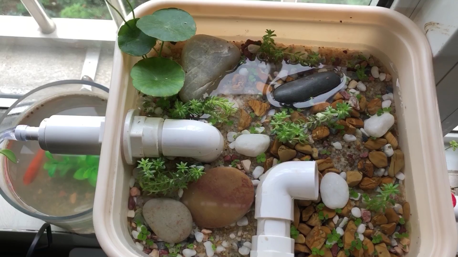 沼泽过滤完工啦